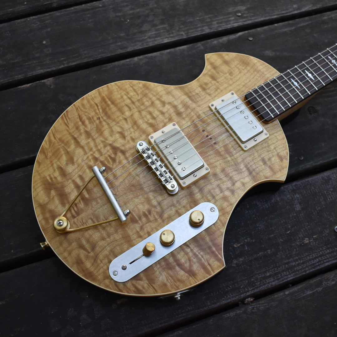 Cardinal Instruments Guitar